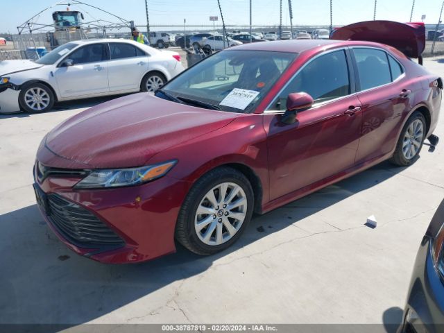 Photo 1 VIN: 4T1C11AKXLU917066 - TOYOTA CAMRY 