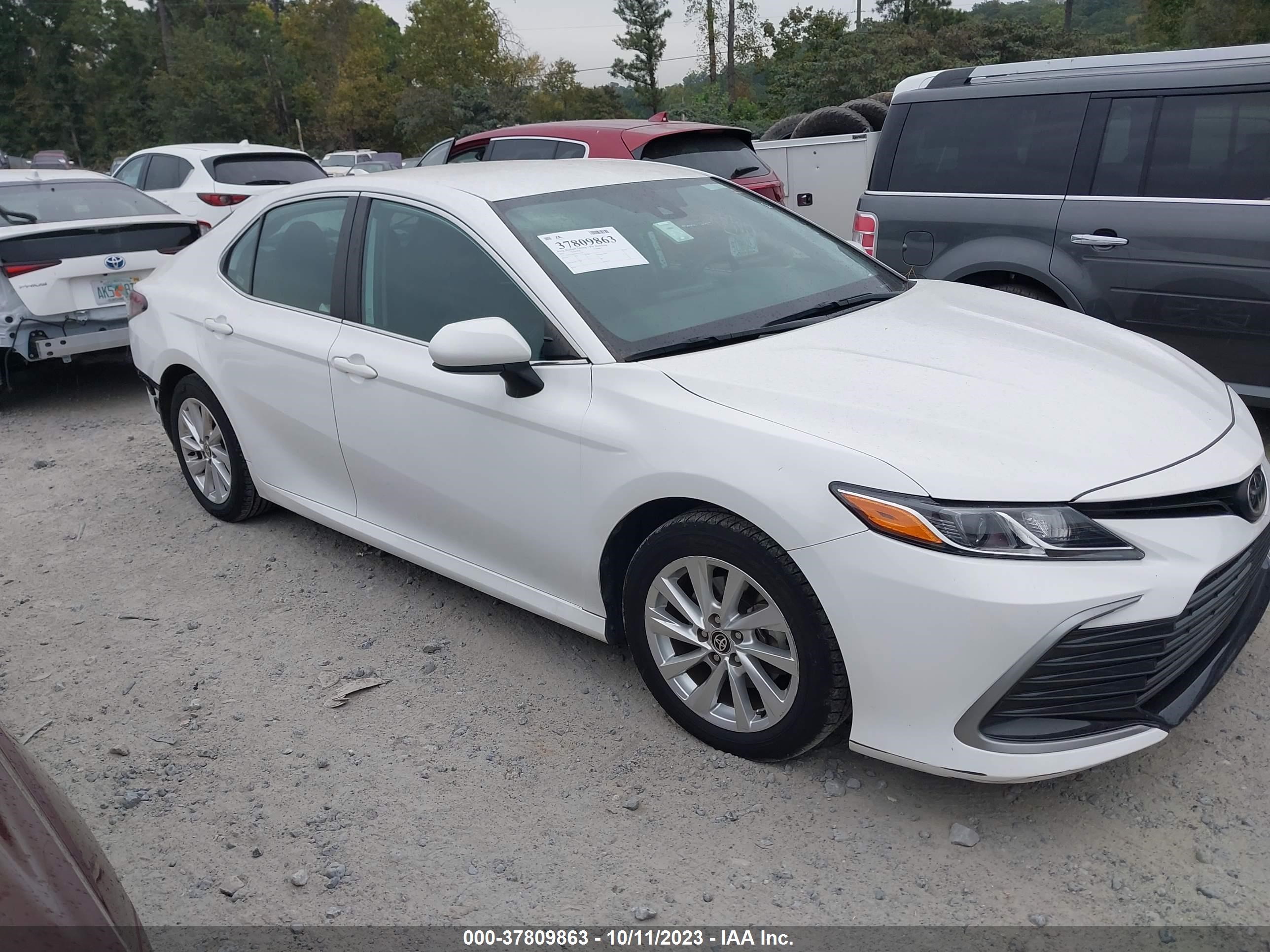 Photo 13 VIN: 4T1C11AKXMU555306 - TOYOTA CAMRY 