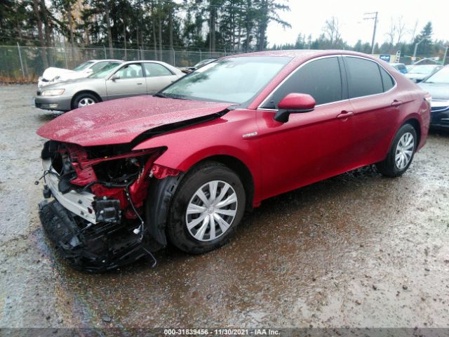 Photo 1 VIN: 4T1C31AK3LU522561 - TOYOTA CAMRY 