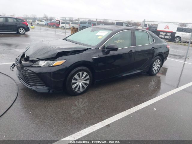 Photo 1 VIN: 4T1C31AK3LU530997 - TOYOTA CAMRY 