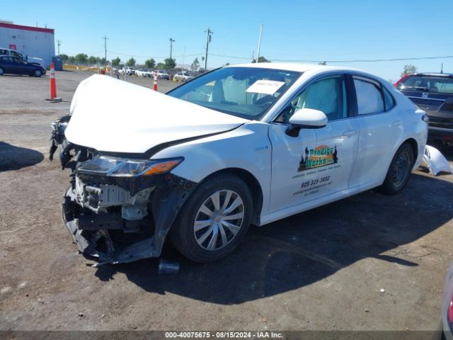 Photo 1 VIN: 4T1C31AK3MU026841 - TOYOTA CAMRY 