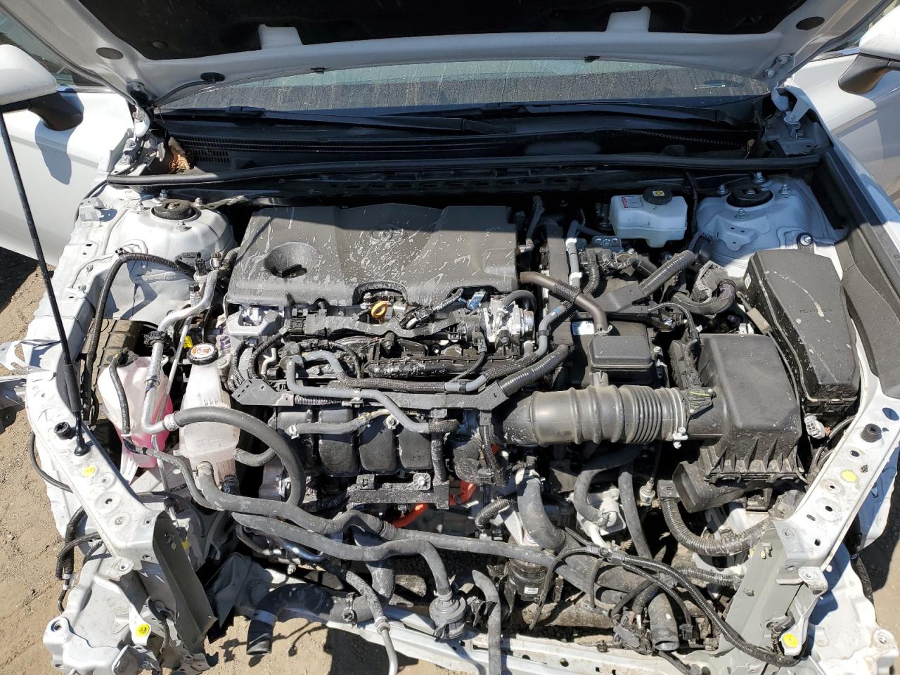 Photo 10 VIN: 4T1C31AK3RU065579 - TOYOTA CAMRY 