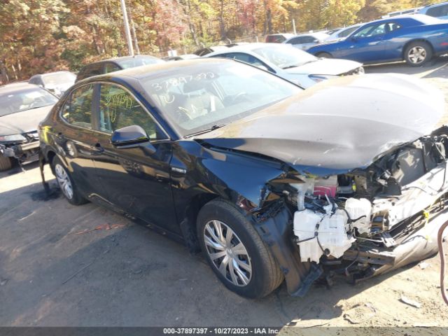 Photo 0 VIN: 4T1C31AK7LU518352 - TOYOTA CAMRY 