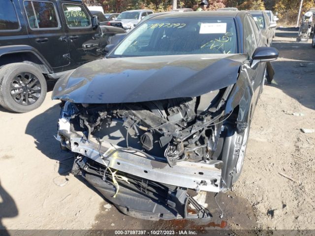 Photo 5 VIN: 4T1C31AK7LU518352 - TOYOTA CAMRY 