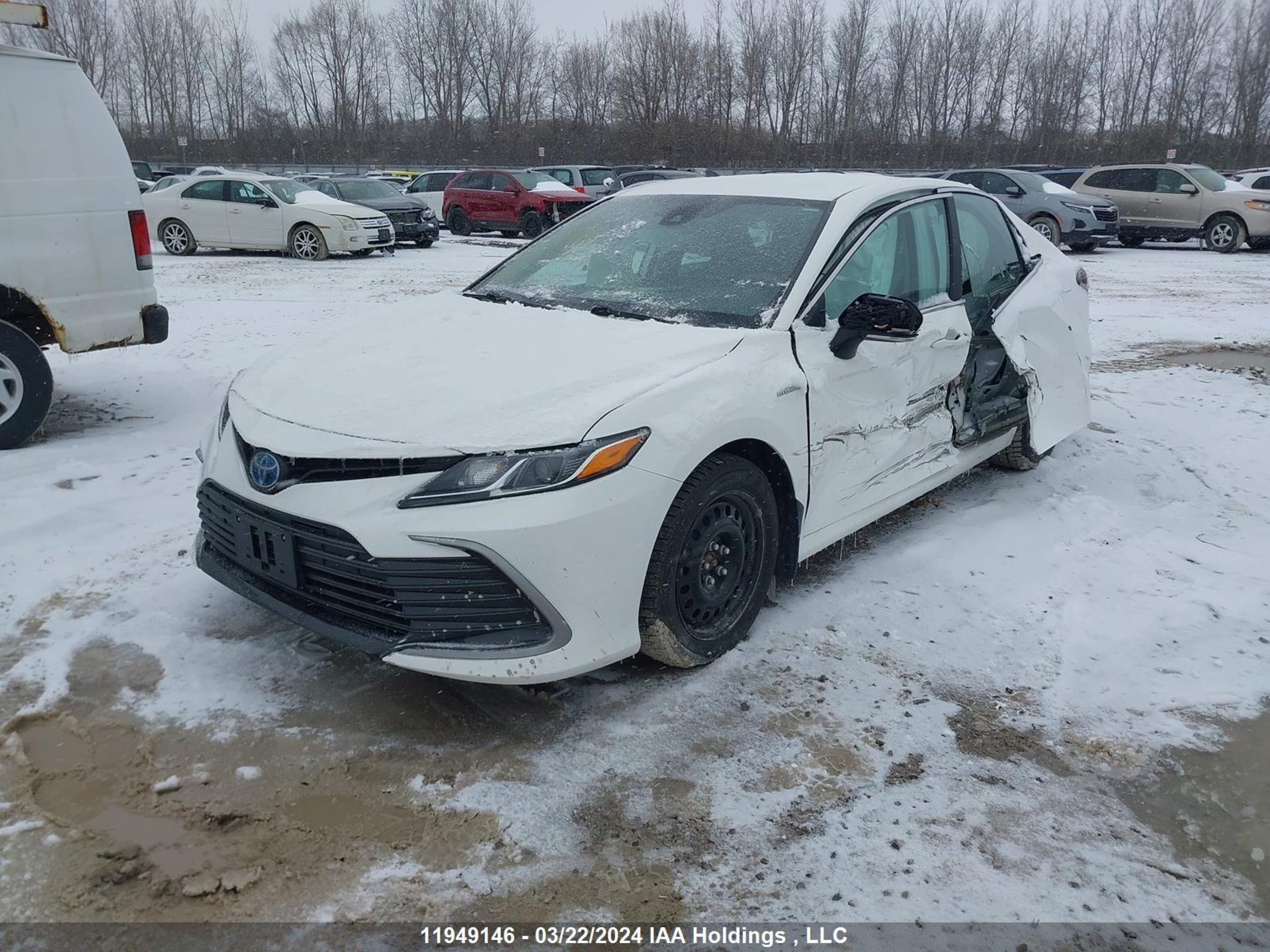 Photo 1 VIN: 4T1C31AK7MU031749 - TOYOTA CAMRY 