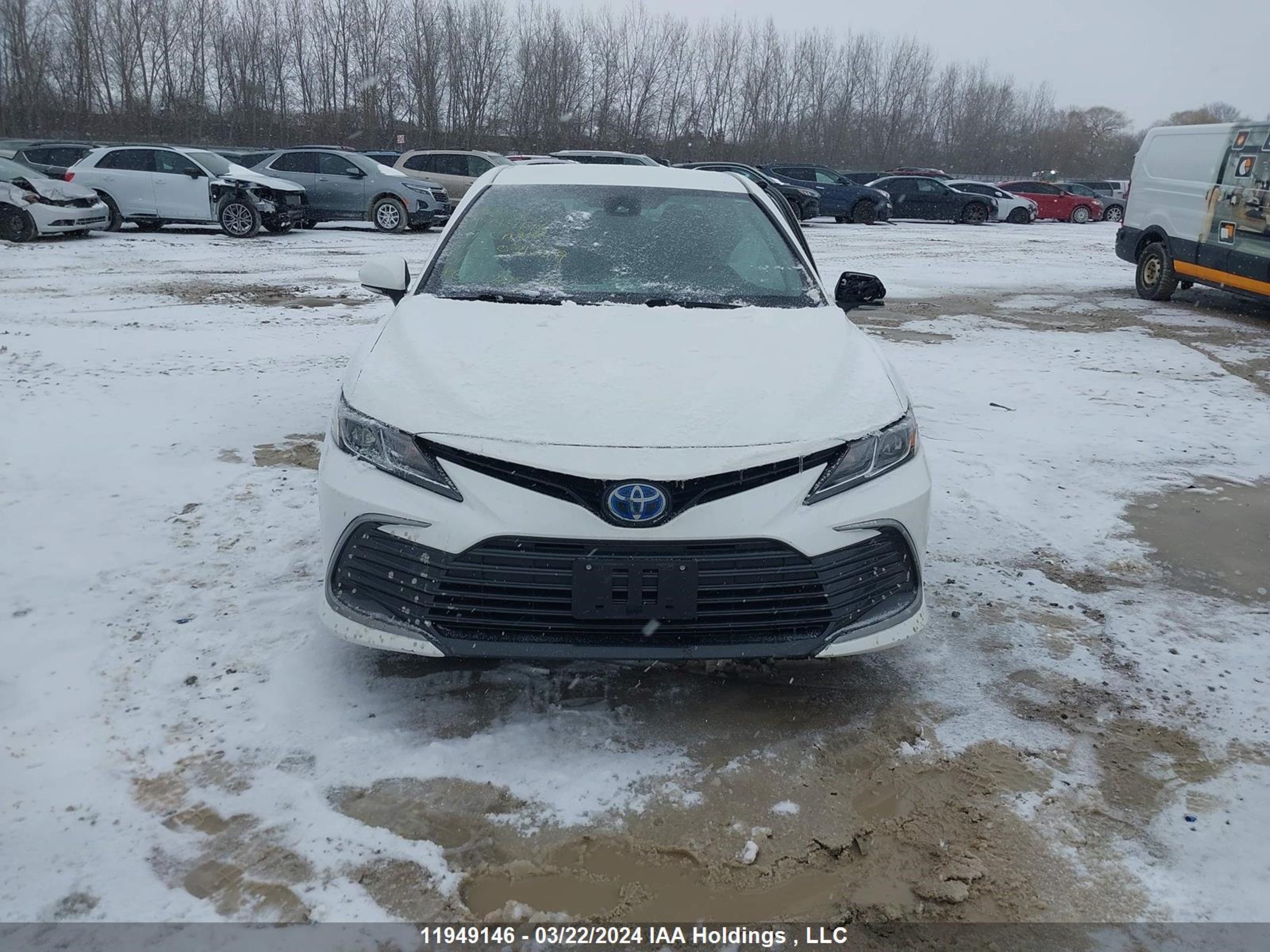 Photo 11 VIN: 4T1C31AK7MU031749 - TOYOTA CAMRY 