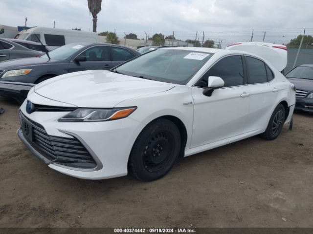 Photo 1 VIN: 4T1C31AK7MU550459 - TOYOTA CAMRY 