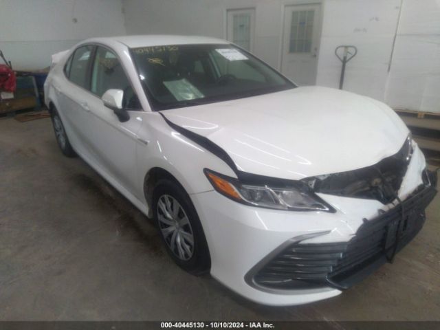 Photo 0 VIN: 4T1C31AK8MU568176 - TOYOTA CAMRY 