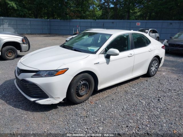 Photo 1 VIN: 4T1C31AK9LU522807 - TOYOTA CAMRY 