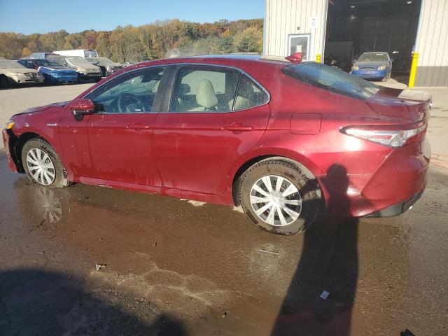 Photo 1 VIN: 4T1C31AK9LU544788 - TOYOTA CAMRY LE 