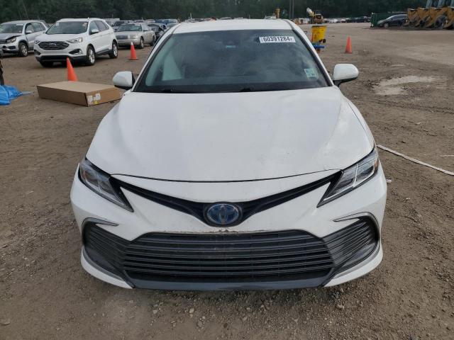 Photo 4 VIN: 4T1C31AKXNU571744 - TOYOTA CAMRY 