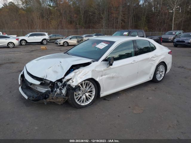 Photo 1 VIN: 4T1F11AK4LU885700 - TOYOTA CAMRY 