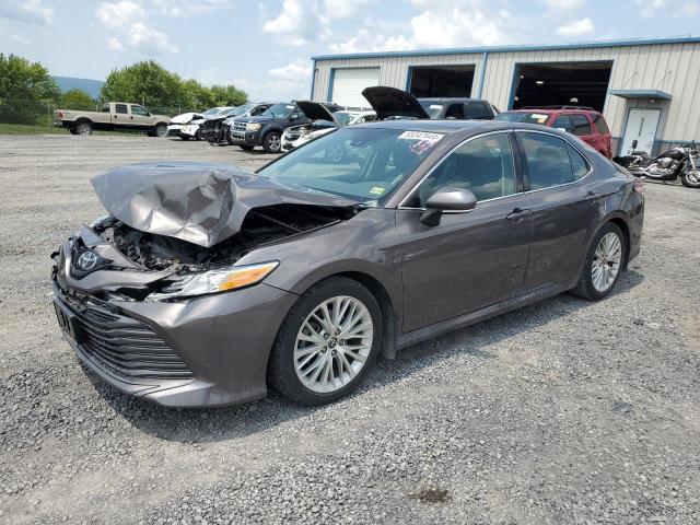 Photo 0 VIN: 4T1F11AK7LU957313 - TOYOTA CAMRY XLE 