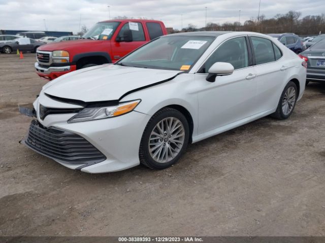 Photo 1 VIN: 4T1F11AK7LU959997 - TOYOTA CAMRY 