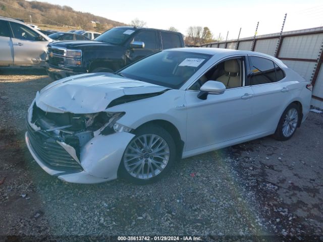 Photo 1 VIN: 4T1F31AK0LU520280 - TOYOTA CAMRY 