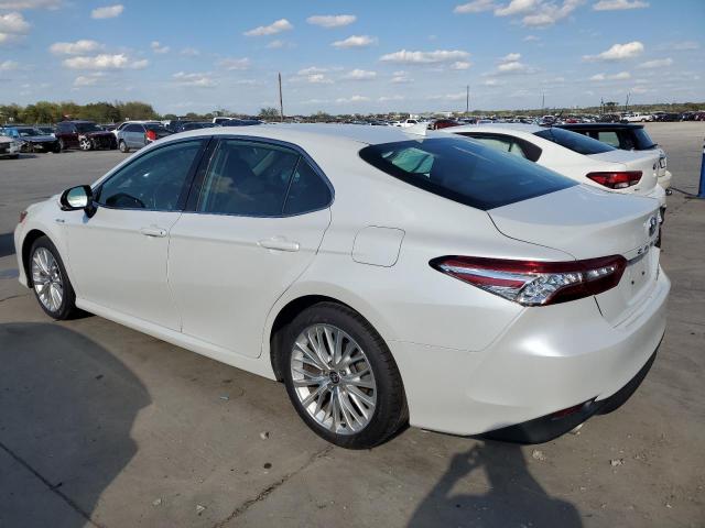 Photo 1 VIN: 4T1F31AK1LU536987 - TOYOTA CAMRY XLE 