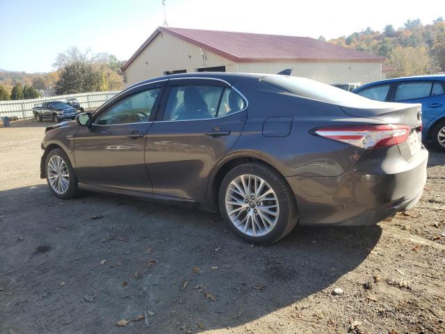 Photo 1 VIN: 4T1F31AK2LU526128 - TOYOTA CAMRY XLE 