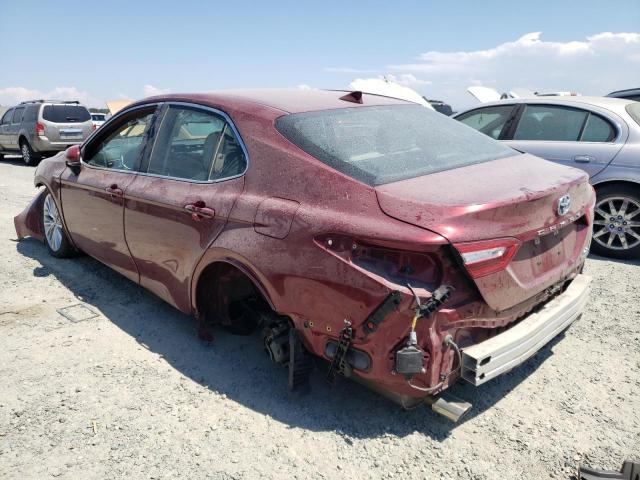 Photo 1 VIN: 4T1F31AK2LU534049 - TOYOTA CAMRY XLE 