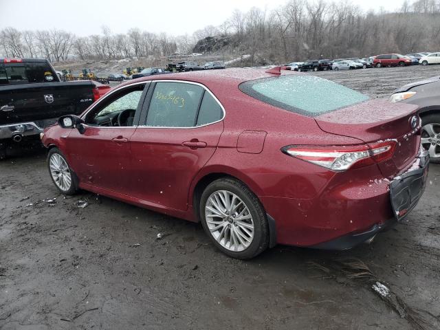 Photo 1 VIN: 4T1F31AK3LU017827 - TOYOTA CAMRY XLE 