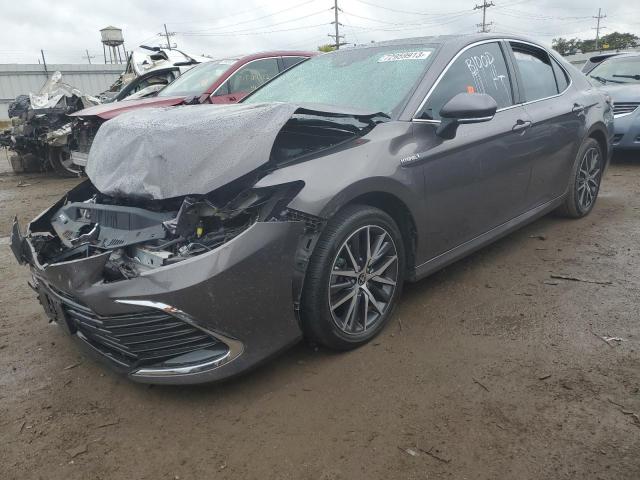 Photo 0 VIN: 4T1F31AK3MU559169 - TOYOTA CAMRY 