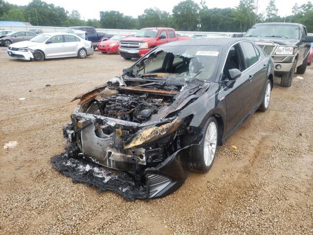 Photo 1 VIN: 4T1F31AK4LU520489 - TOYOTA CAMRY XLE 