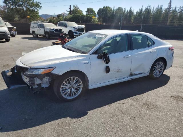 Photo 0 VIN: 4T1F31AK4LU523909 - TOYOTA CAMRY XLE 