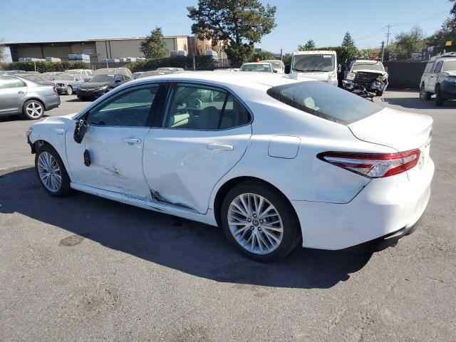 Photo 1 VIN: 4T1F31AK4LU523909 - TOYOTA CAMRY XLE 