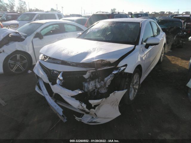 Photo 1 VIN: 4T1F31AK4LU543741 - TOYOTA CAMRY 