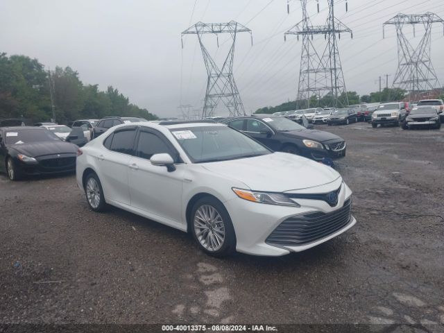 Photo 0 VIN: 4T1F31AK5LU009759 - TOYOTA CAMRY 