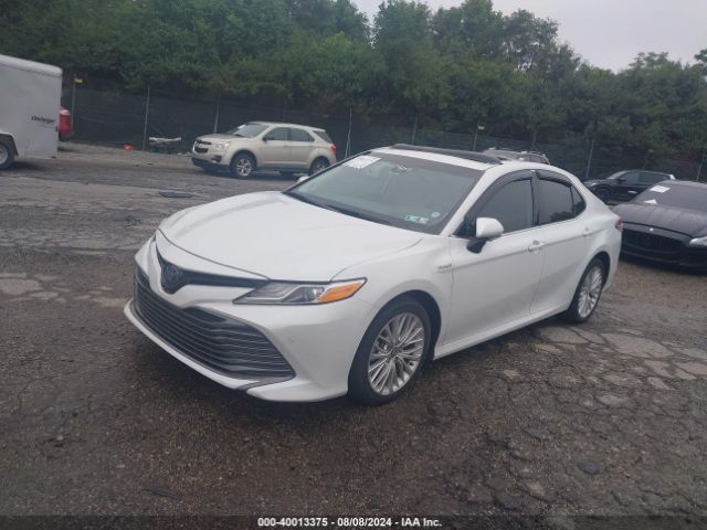 Photo 1 VIN: 4T1F31AK5LU009759 - TOYOTA CAMRY 