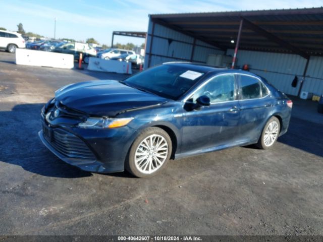 Photo 1 VIN: 4T1F31AK5LU525118 - TOYOTA CAMRY 