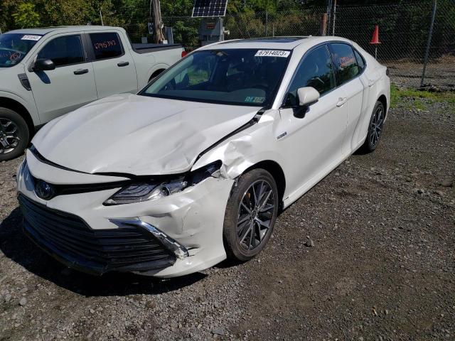 Photo 0 VIN: 4T1F31AK5MU566172 - TOYOTA CAMRY XLE 