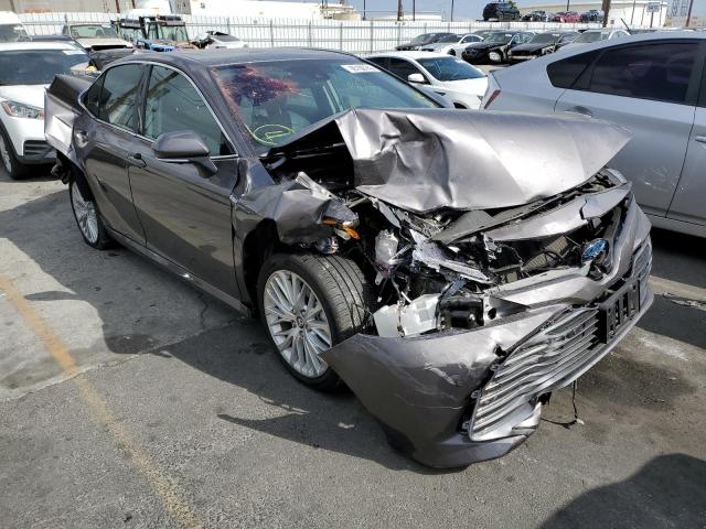 Photo 0 VIN: 4T1F31AK8LU012168 - TOYOTA CAMRY XLE 