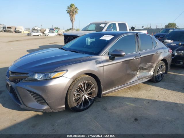 Photo 1 VIN: 4T1G11AK4LU869923 - TOYOTA CAMRY 