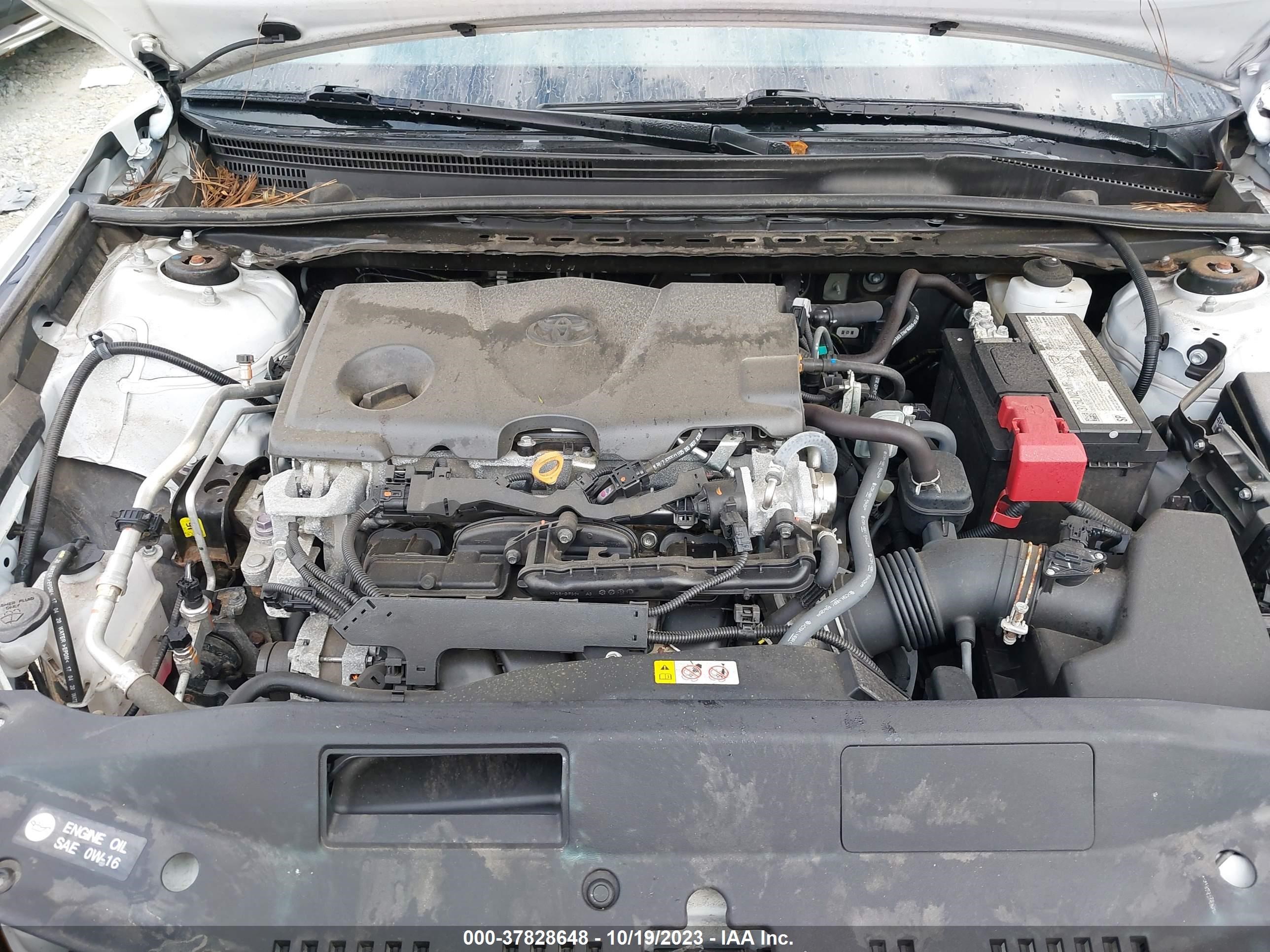 Photo 9 VIN: 4T1G11AK4MU554637 - TOYOTA CAMRY 