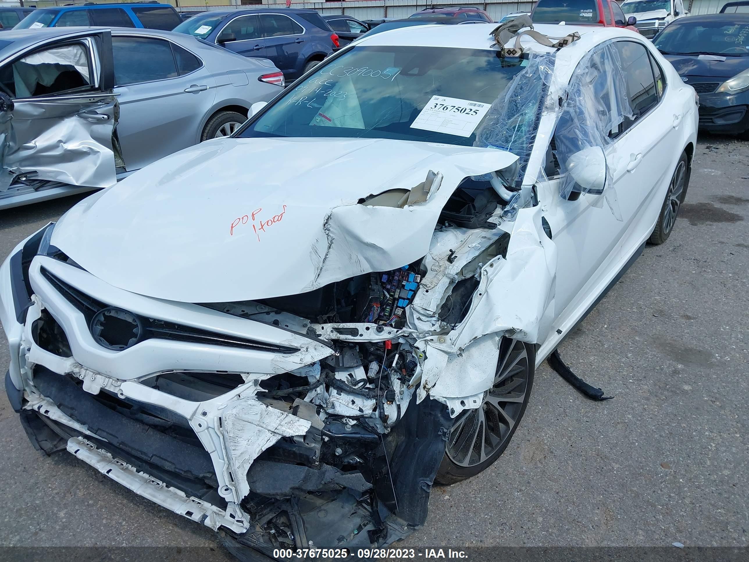 Photo 1 VIN: 4T1G11AK5LU331697 - TOYOTA CAMRY 