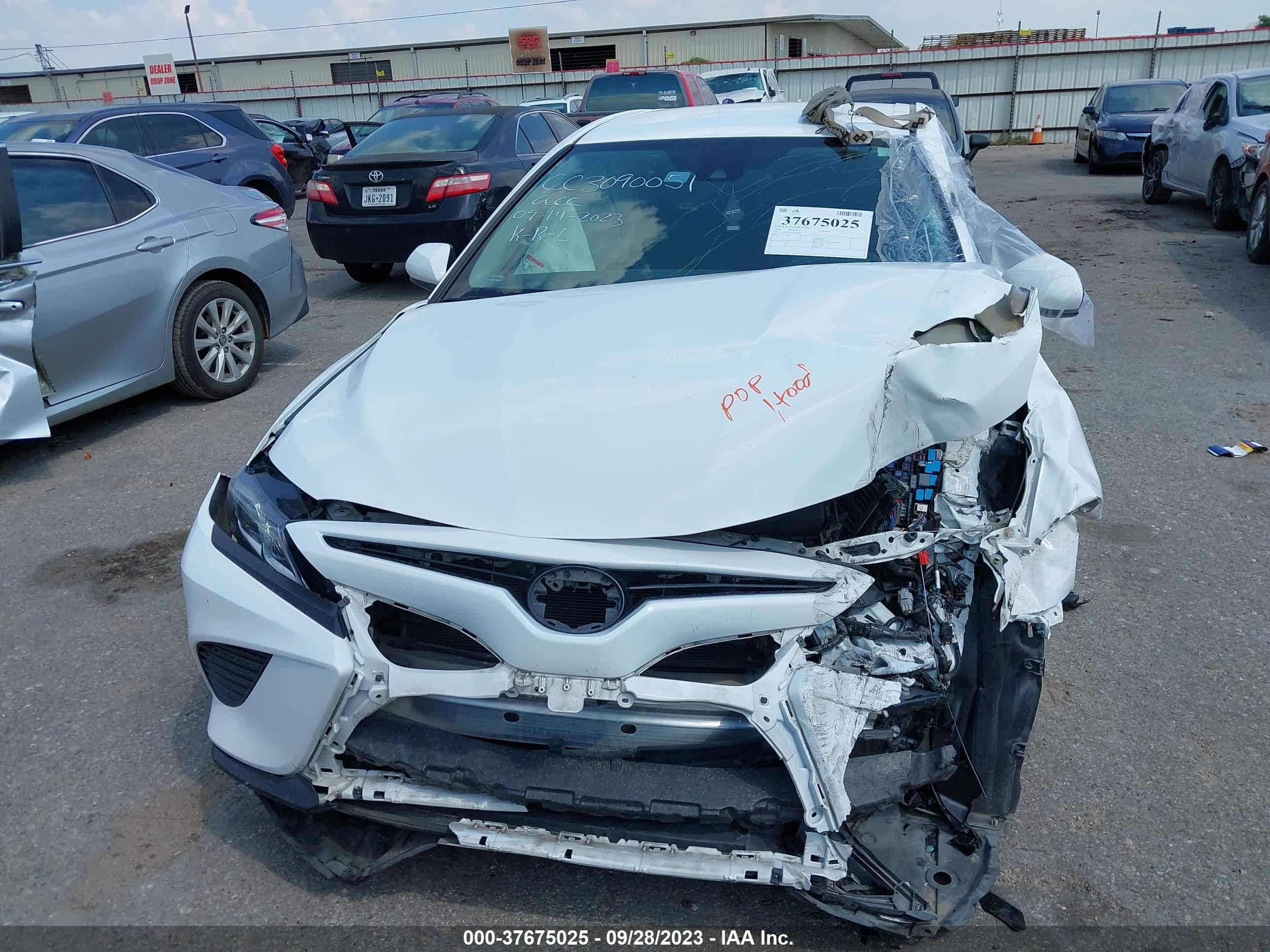 Photo 11 VIN: 4T1G11AK5LU331697 - TOYOTA CAMRY 