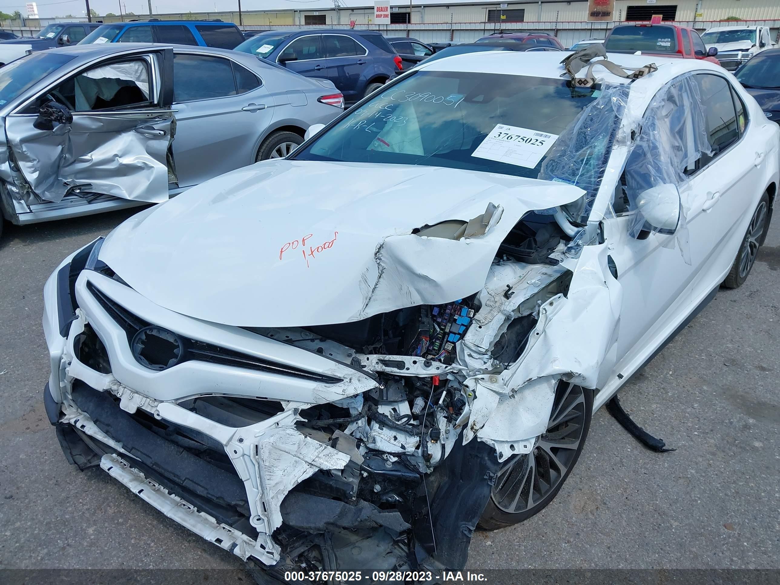 Photo 5 VIN: 4T1G11AK5LU331697 - TOYOTA CAMRY 