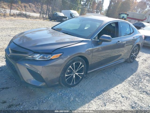 Photo 1 VIN: 4T1G31AK2LU013384 - TOYOTA CAMRY 