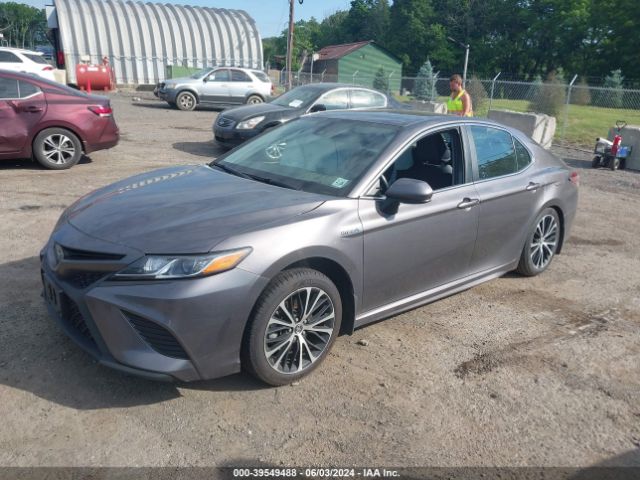 Photo 1 VIN: 4T1G31AK2LU527820 - TOYOTA CAMRY 