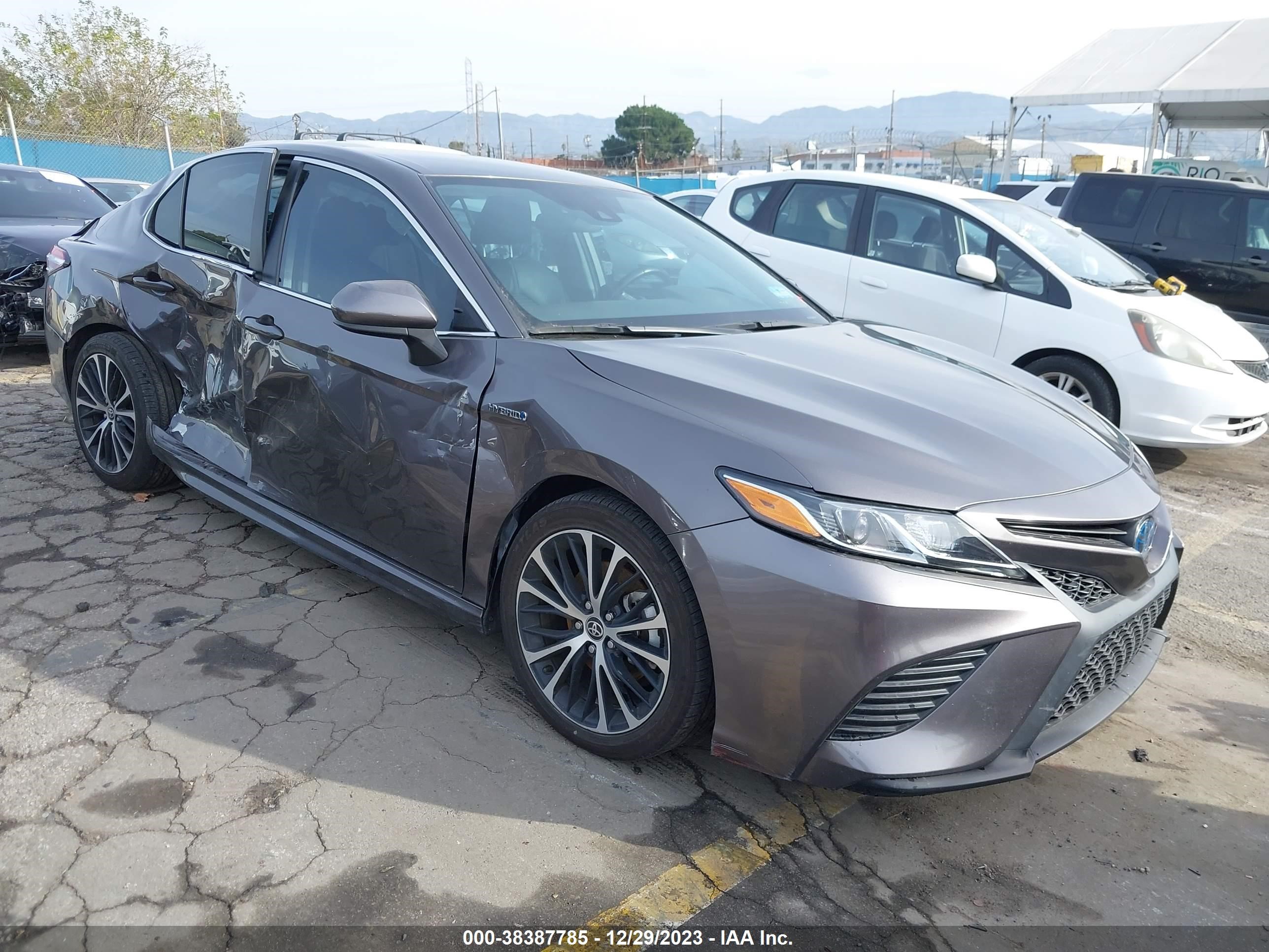 Photo 0 VIN: 4T1G31AK2LU533276 - TOYOTA CAMRY 