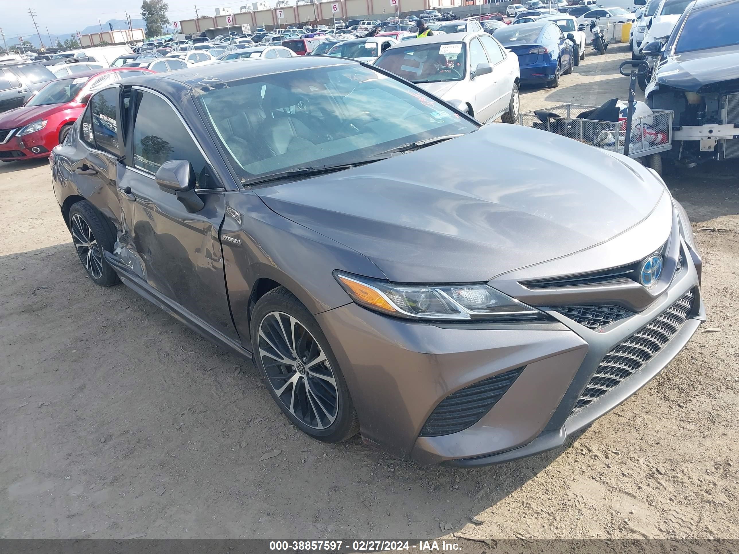 Photo 1 VIN: 4T1G31AK2LU533276 - TOYOTA CAMRY 