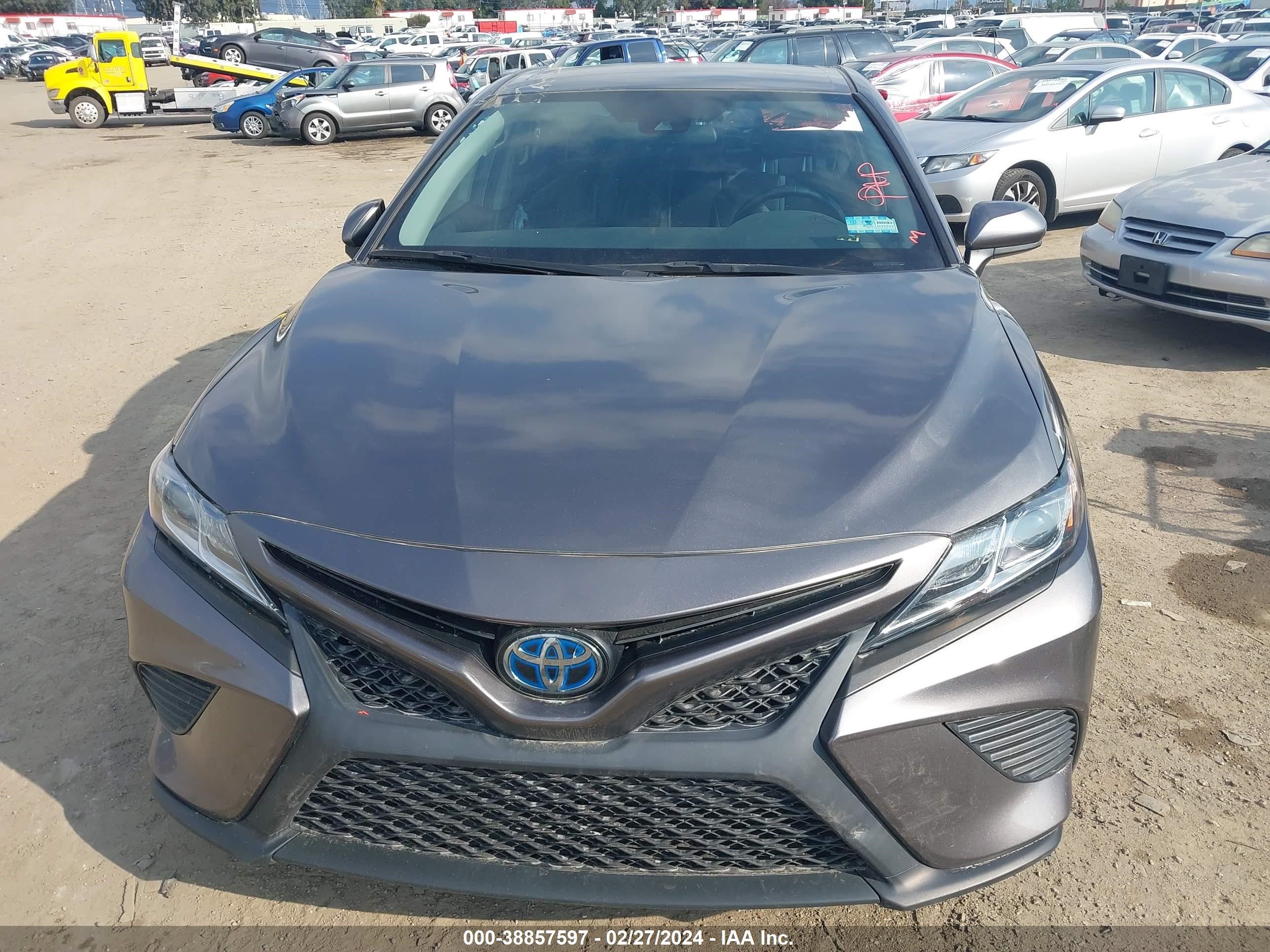 Photo 12 VIN: 4T1G31AK2LU533276 - TOYOTA CAMRY 