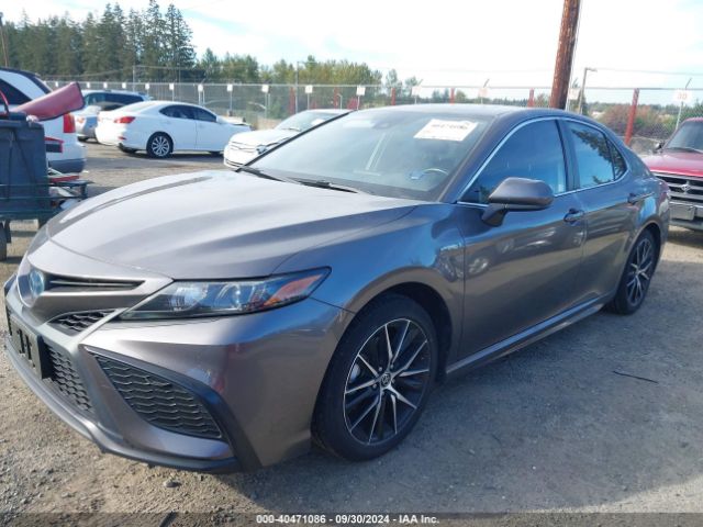 Photo 1 VIN: 4T1G31AK7MU030747 - TOYOTA CAMRY 