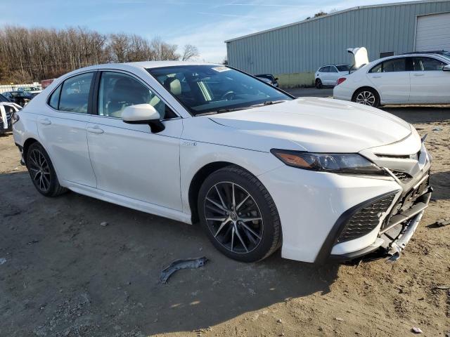 Photo 3 VIN: 4T1G31AK7MU549118 - TOYOTA CAMRY 