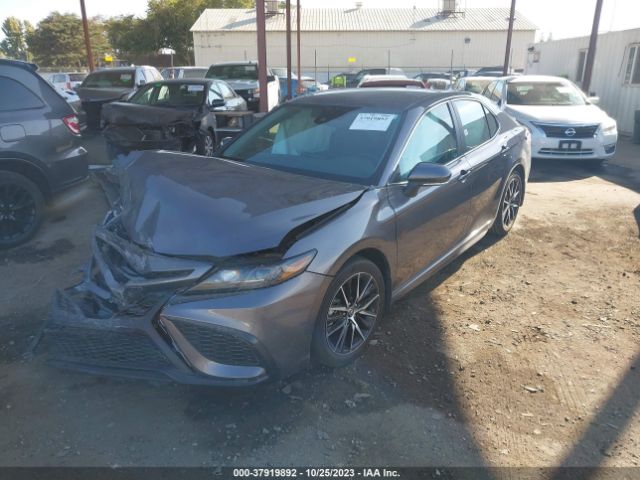 Photo 1 VIN: 4T1G31AK8PU609640 - TOYOTA CAMRY 