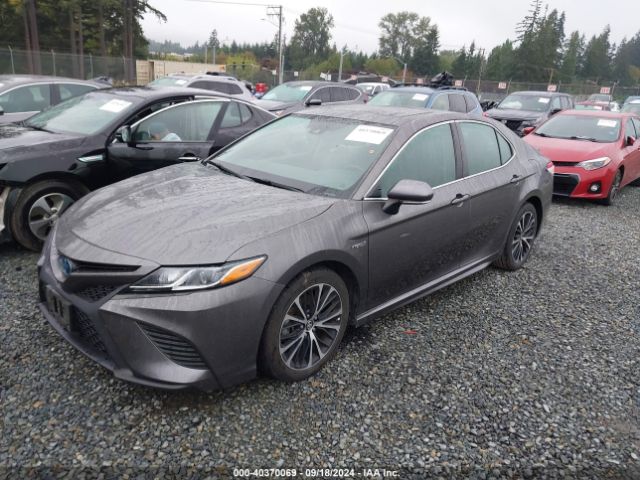 Photo 1 VIN: 4T1J31AK3LU518176 - TOYOTA CAMRY 