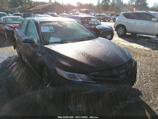 Photo 0 VIN: 4T1J31AK5LU531480 - TOYOTA CAMRY 