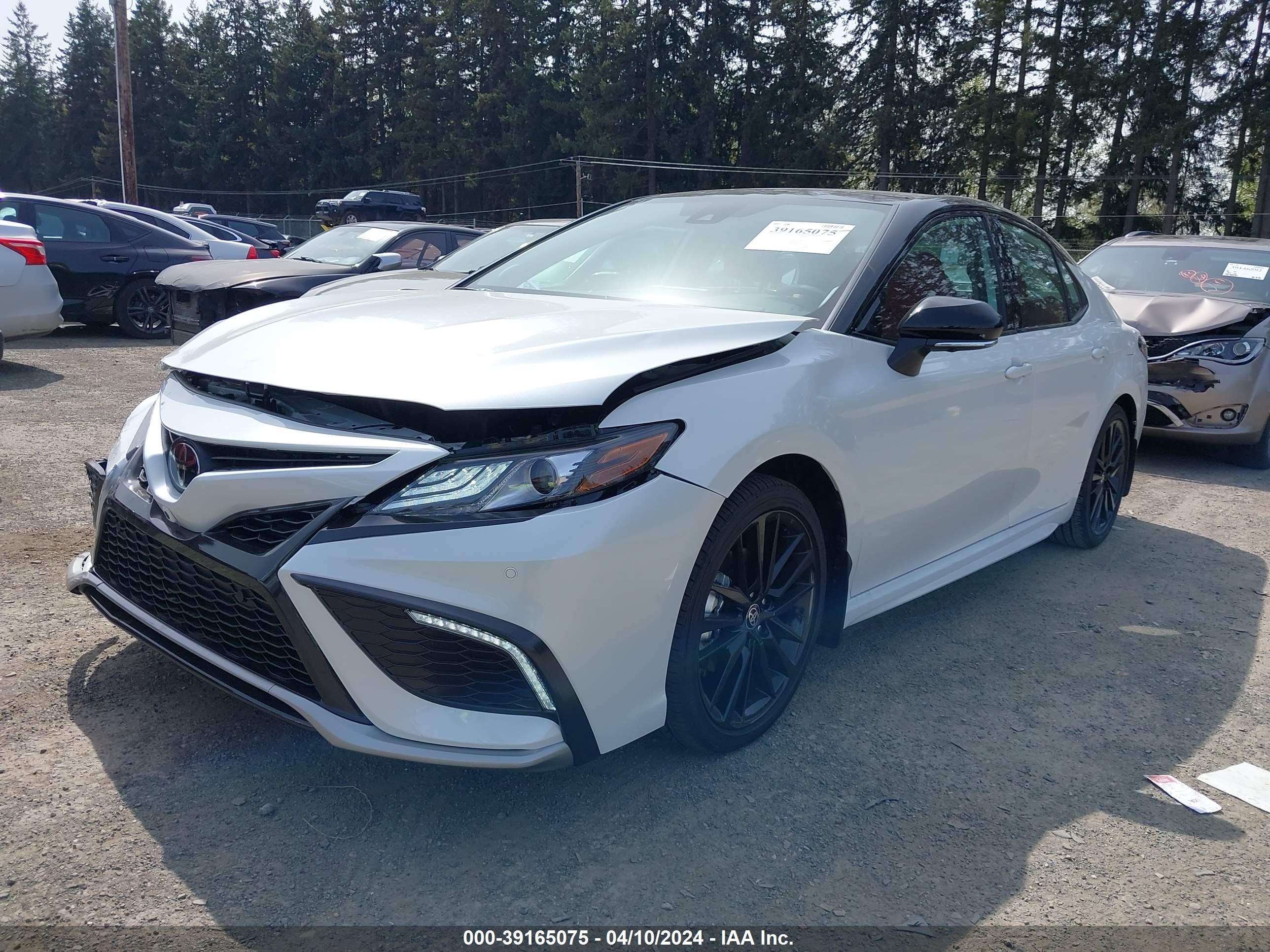 Photo 1 VIN: 4T1K61BKXRU118201 - TOYOTA CAMRY 