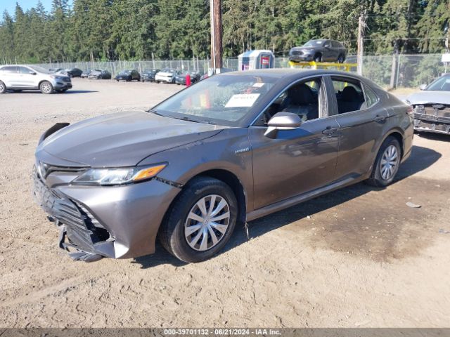 Photo 1 VIN: 4T1L31AK3LU541675 - TOYOTA CAMRY 